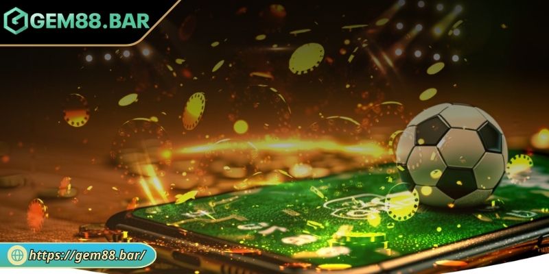 Kết hợp với các loại khác